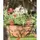 Panacea 14" Cameo Series Hanging Basket