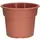 DLN 12.00 COLOR POT 2 TL CL 40/CS 32CS/PL