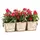 Deer Park 3 Pot Venetian Planter