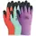 BGC Eco Master Glove XS Assorted Colors