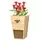 Woodlink Cedar Mason Bee House & Planter