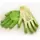 WWG Large Green Weeding Glove Latex Dipped