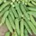 Peas, Maestro Treated - 1lb