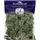 SuperMoss 4oz Reindeer Moss Green