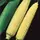 Corn, Temptation - 1lb
