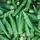 Okra, Clemson Spineless - 4oz