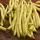 Beans, Kentucky Wonder Wax Pole - 1lb