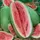 WATERMELON CHARLESTON GREY 1/2 EACH