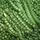 PEAS, GREEN ARROW - 1/2