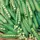 Peas, Knight Treated - 1lb
