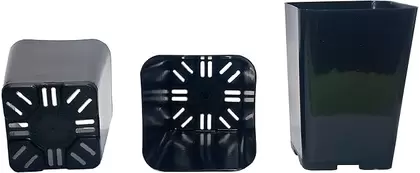 Liner - 2.25" X 2.5" Black Square 1125/Cs 42Cs/Plt