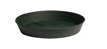 Green Premium Saucer, 8", pack of 25