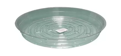Clear Saucer, 10", pack of 25