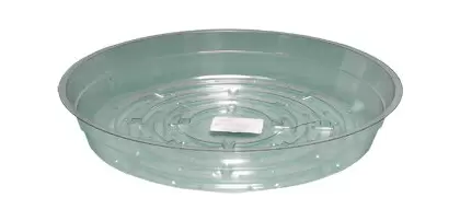 Clear Saucer, 6", pack of 25