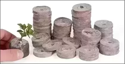 Pure Rooters 42MM Coco Plugs/Pellets - The Coco Depot
