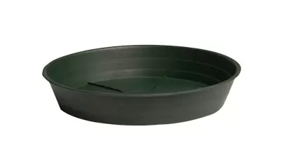 Green Premium Saucer 16", pack of 10