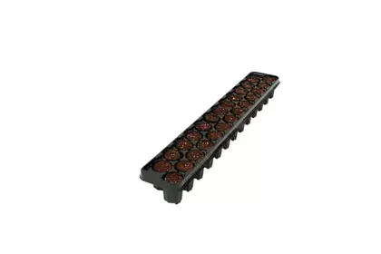 25CT OASIS® Fertiss® PlugStrip (30X40mm) 60/CS (1500)