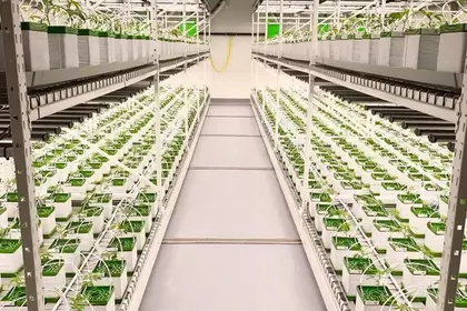 Racks and Shelving Options: Versatile Storage Solutions by BMH