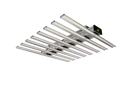 Electrivo 800W XBar Pro Light
