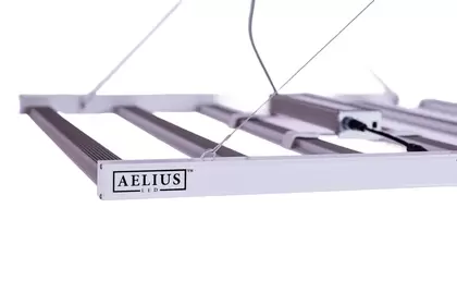 Matrx REDD 3.0F - Aelius LED