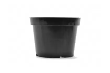 BLD 08.00 AZ TEXTURED BLK 100/CS 36CS/PL 692508