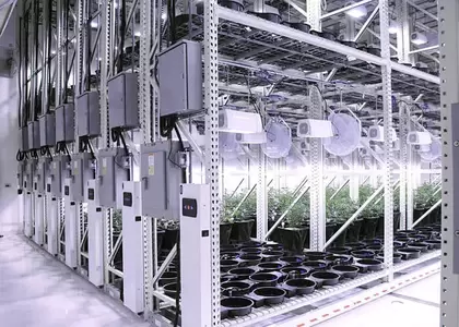 Multi-Tier Mobile Grow Racks