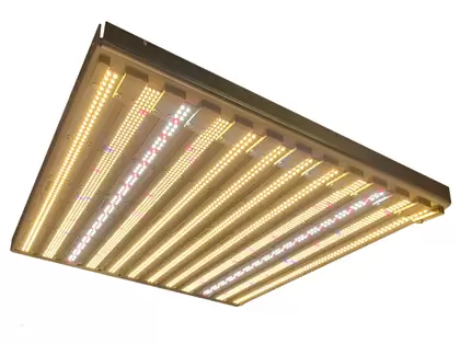 600w Aegis Series Gen 2 | Grow IT LED