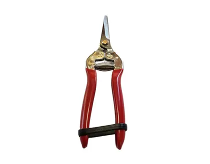 Vaca Straight Stainless Steel Thining Shear