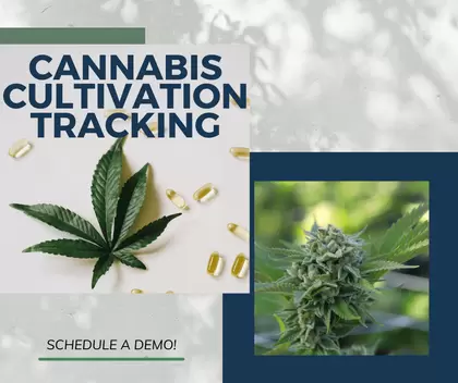 Cannabis Cultivation Tracking - Royal 4 Systems