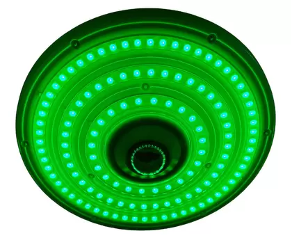 Green Diamond 12MP Security Camera - InfraGreen Systems