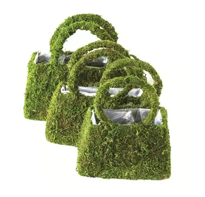 SuperMoss 3PC Set Deco Beaumont Purse Basket