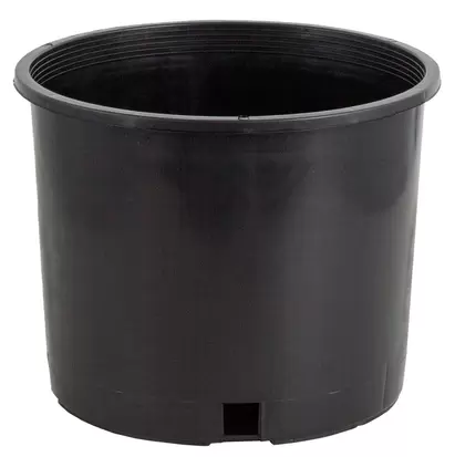 Pro Cal Premium Nursery Pot, 3 gal