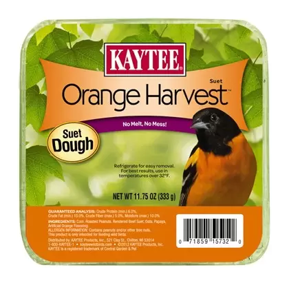Kaytee 11.75oz Orange Harvest Suet Dough