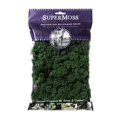 SuperMoss 2oz Reindeer Moss Forest