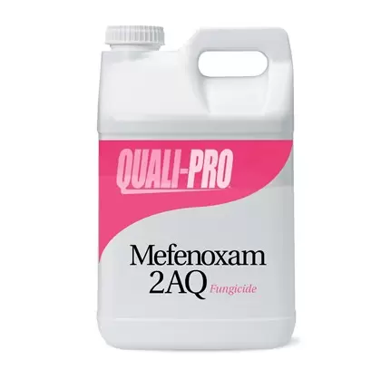 Mefenoxam 2AQ 2.5Gl 2/CS