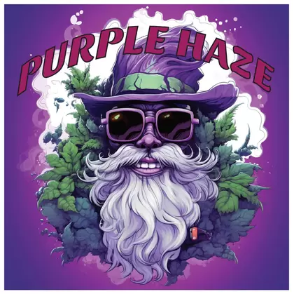 Purple Haze - Tasty Terp Seeds
