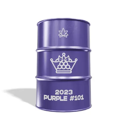 2023 Purple - 101
