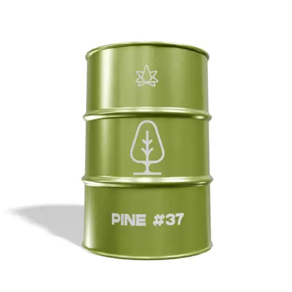 Pine - 37