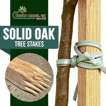 Tree Stakes Edrich Lumber - Pack Of 12