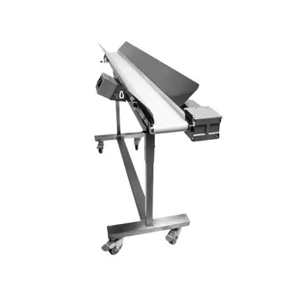 Mobius Infeed Conveyor