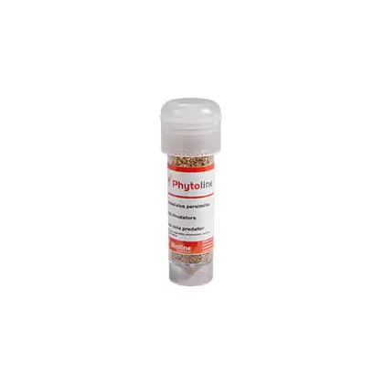 Phytoline - Vermiculite - 20000 Individuals - Bottle