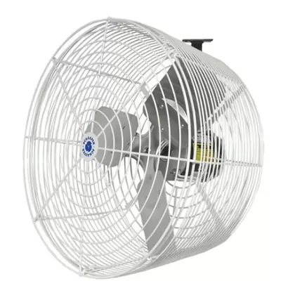 Schaefer Versa-Kool Circulation Fan 24 in 3ph mount