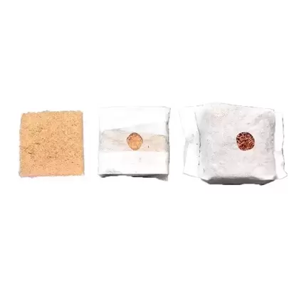 GroEzy™ 3" Coco Grow Cubes - The Coco Depot
