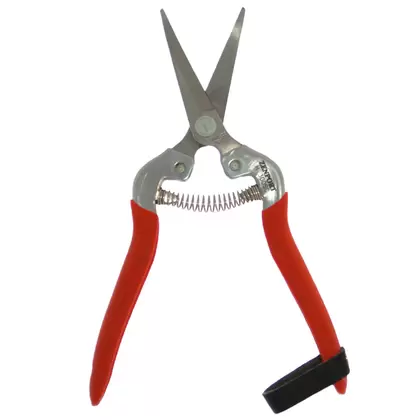 Harvest Shear - Long Curved Stainless Steel Blade