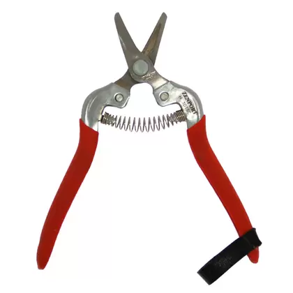 Harvest Shear - Short Curved Stainless Steel Blade