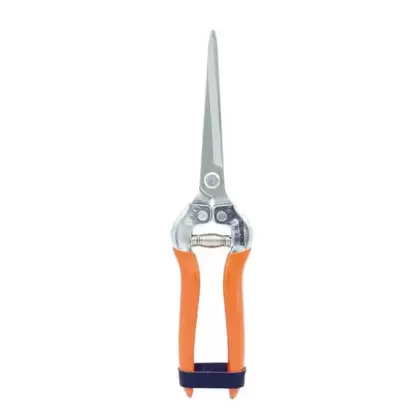 Extra Long Harvest Shear