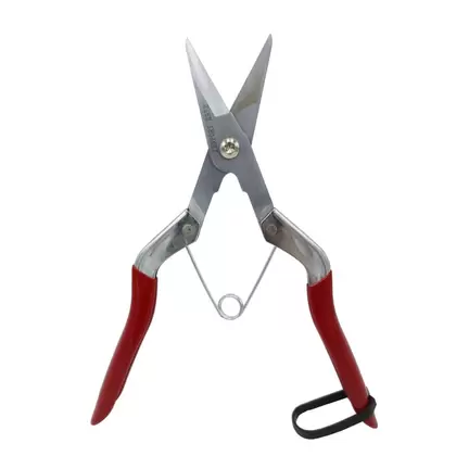Long Deluxe Thinning Pomelo Shear
