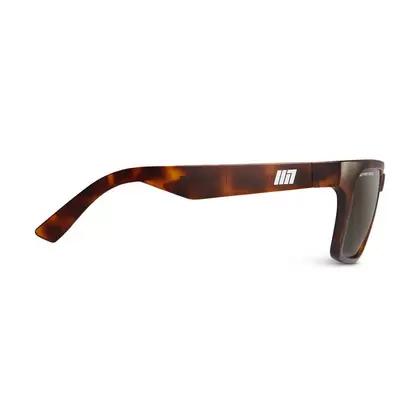 Evolution Sun Tortoise