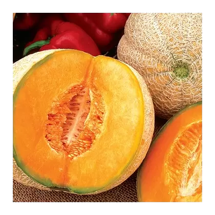 Cantaloupe , Honey Rock - 1/2oz