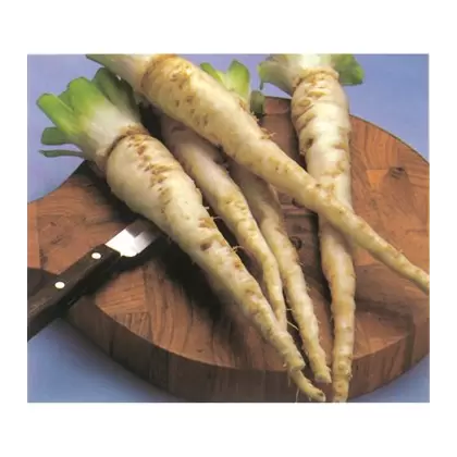 Salsify, Mammoth Island - 1/2oz